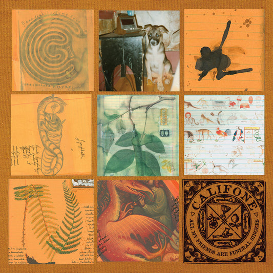Califone - All my friends are funeral singers (LP)