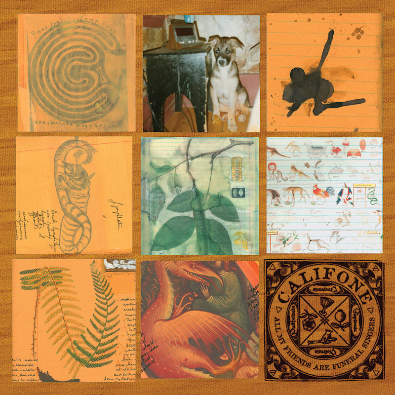 Califone - All my friends are funeral singers (CD)