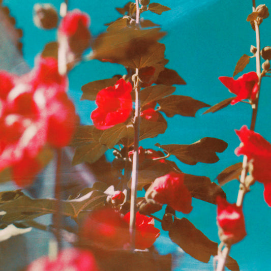 Chad Lawson - Breathe (LP)