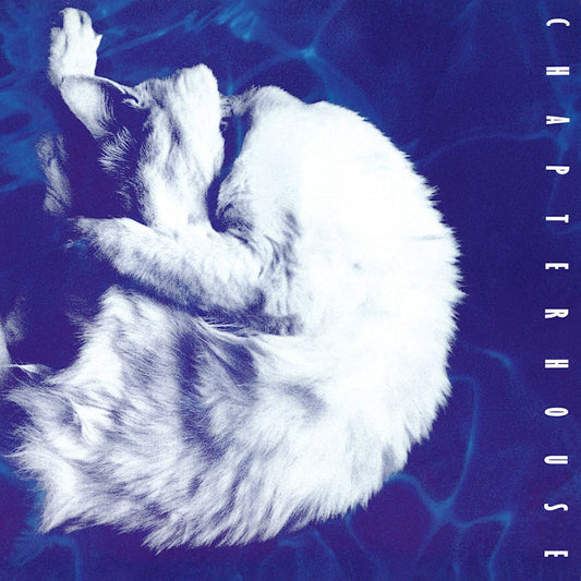 Chapterhouse - Whirlpool (CD)