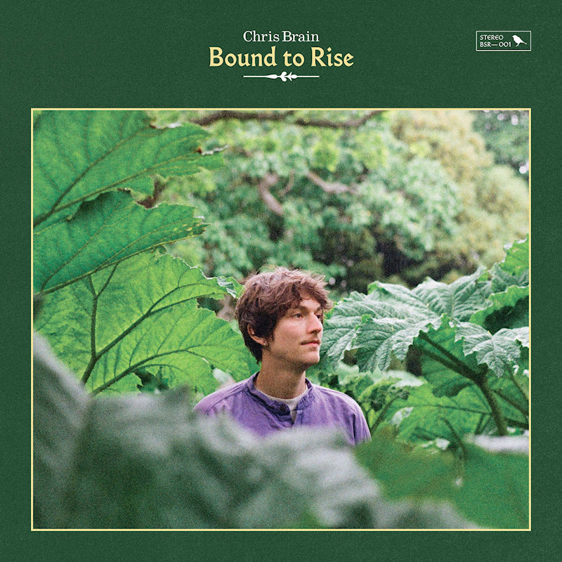 Chris Brain - Bound to rise (CD)