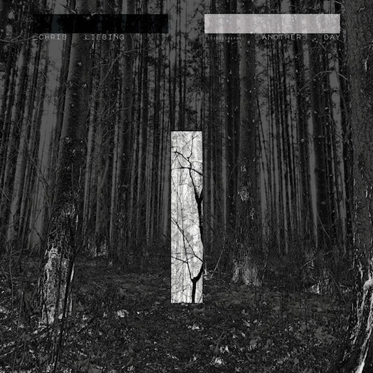 Chris Liebing - Another day (LP)