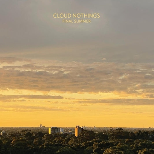 Cloud Nothings - Final summer (Marbled Amethyst, Coloured Vinyl LP)