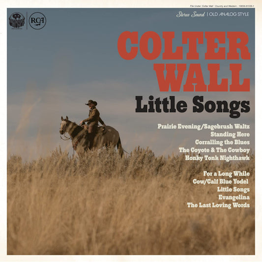 Wall, Colter - Little songs (5045454 LP)