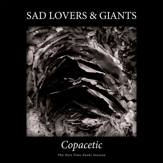 Sad Lovers & Giants - Copacetic (LP)