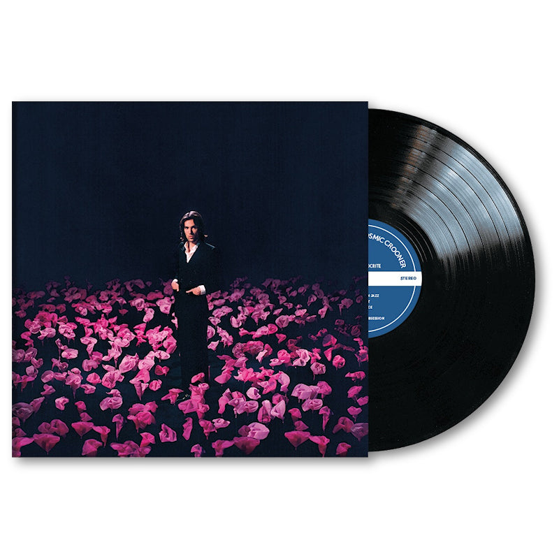 Cosmic Crooner - Perks of being a hypocrite (.. Hypocrite, High Quality LP)