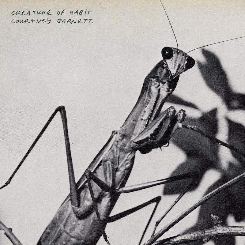 Courtney Barnett - Creature Of Habit (LP)