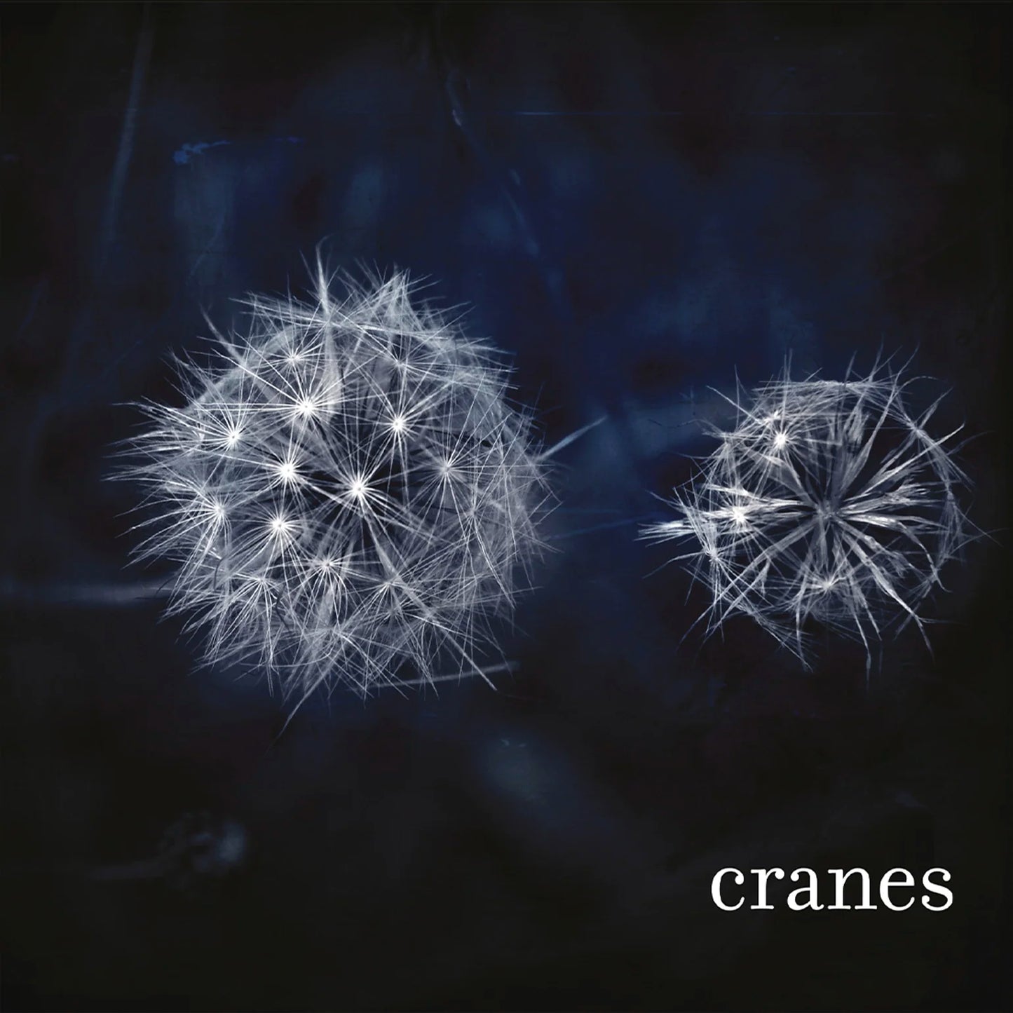 Cranes - Cranes (High Quality, Transparent, Coloured Vinyl, Insert LP)