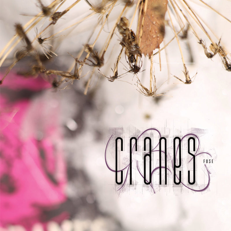 Cranes - Fuse (magenta) (LP)