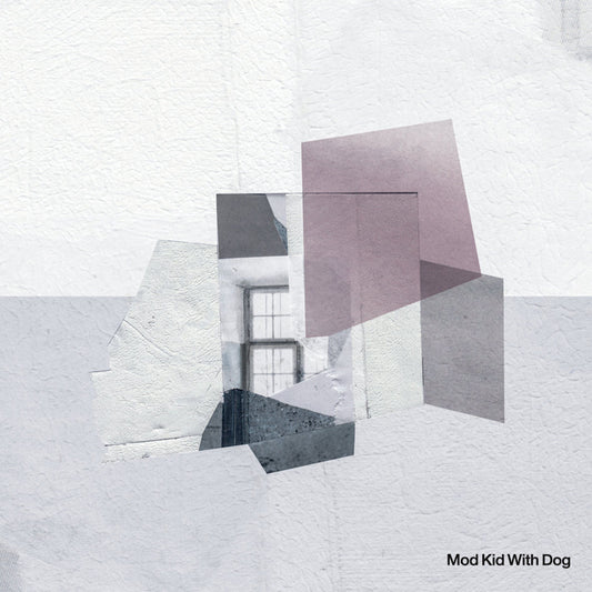 Crowd Of Chairs - Mod kid with dog (LP)