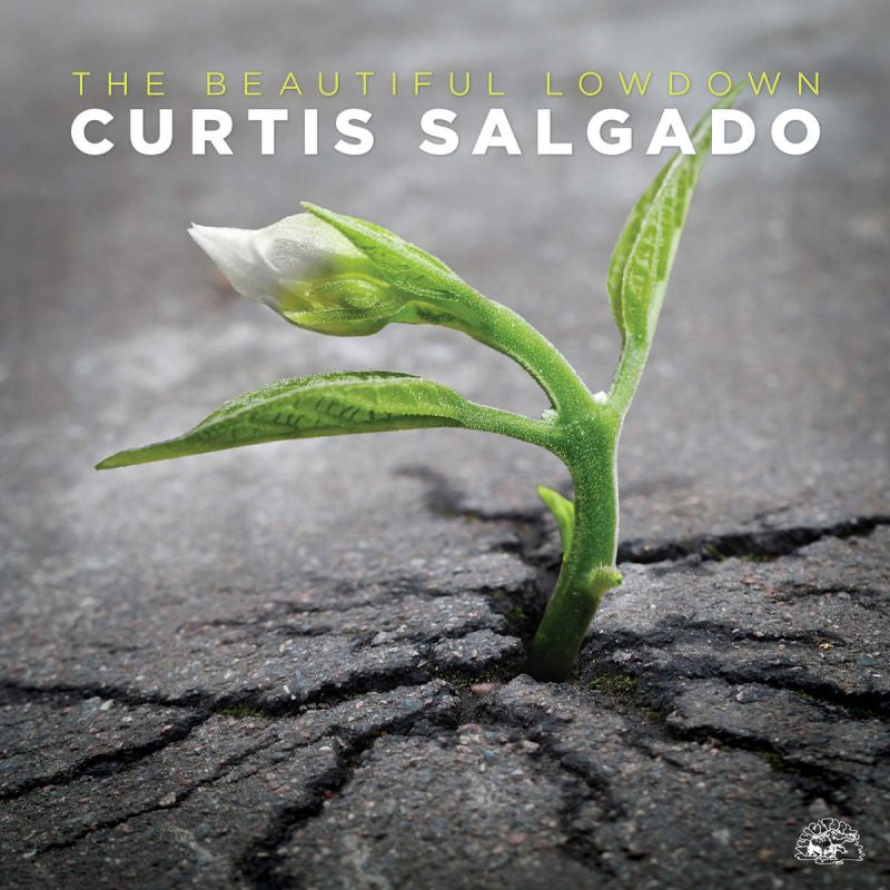 Curtis Salgado - Beautiful lowdown (CD)