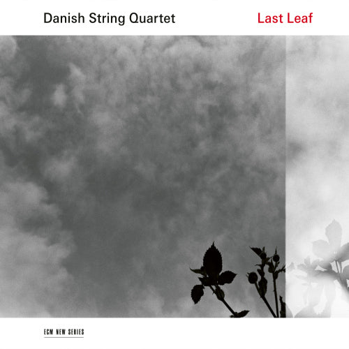 Danish String Quartet - Last leaf (180 Gr., High Quality LP)