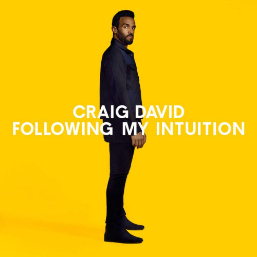 Craig David - Following my intuition (LP)
