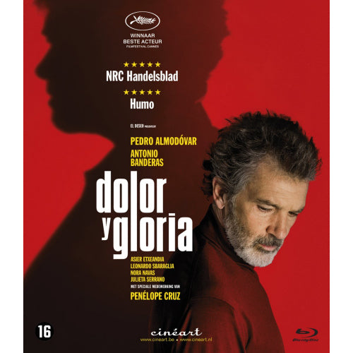 Movie - Dolor y gloria (By: Pedro Almodovar blu ray movie)