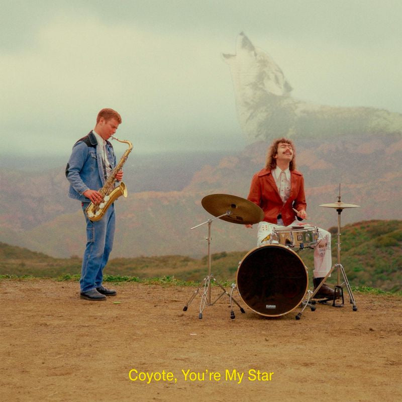 Dana & Alden - Coyote, you're my star chocobanano) (Chocolate Brown, Coloured Vinyl LP)