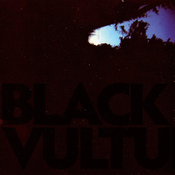 Daniel Norgren - Black vultures (LP)