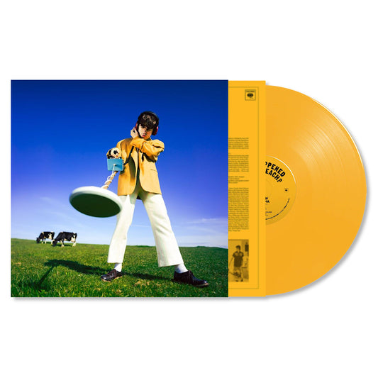 McKenna, Declan - What happened to the beach? (Yellow, Coloured Vinyl, Limited Edition LP)