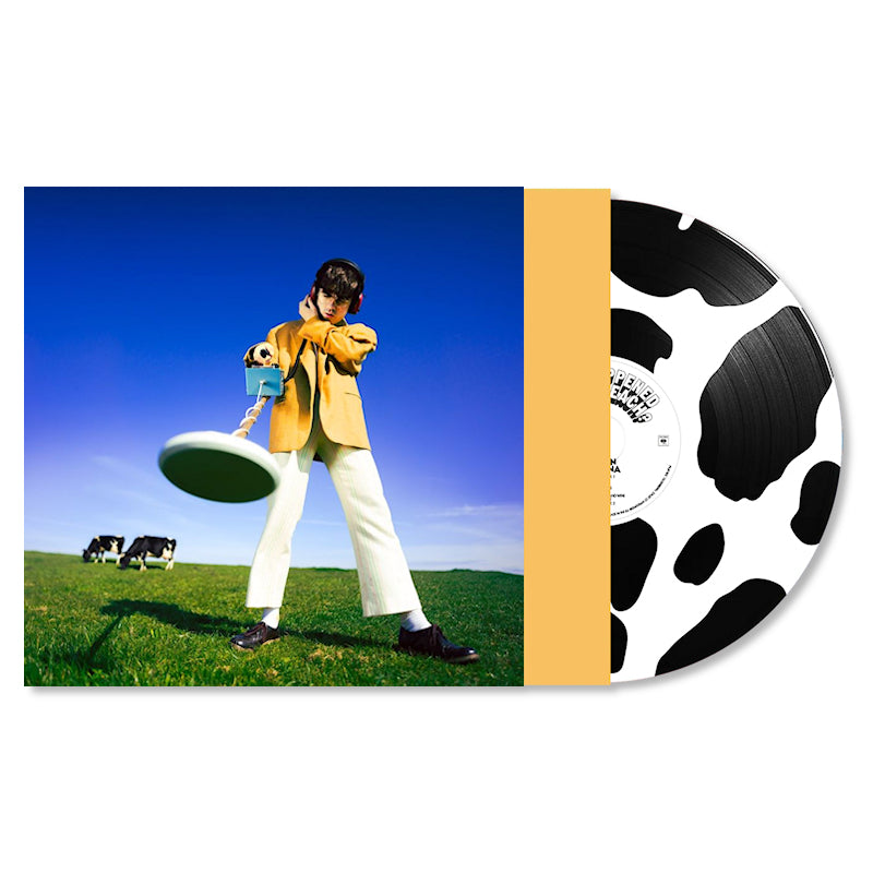 McKenna, Declan - What happened to the beach? (Picture Disc, Limited Edition LP)