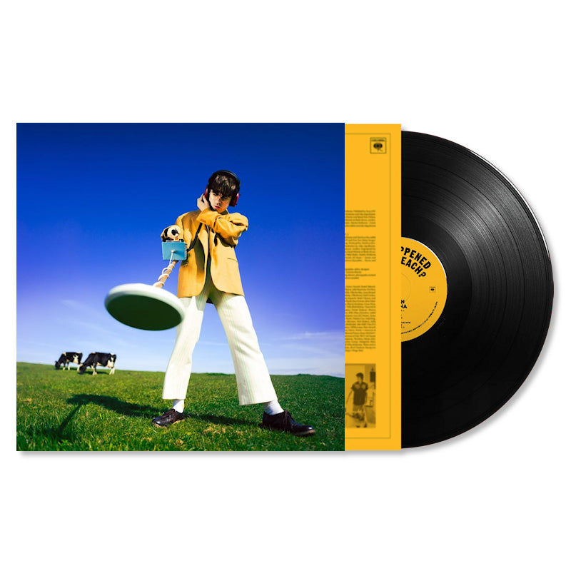 Declan McKenna - What happened to the beach? (Eco-Mix LP)