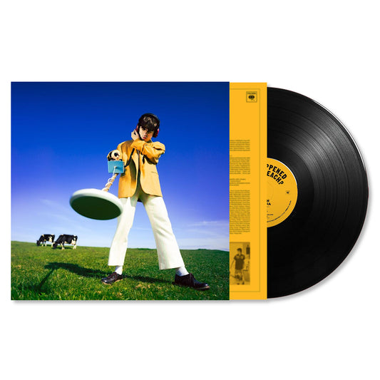 Declan McKenna - What happened to the beach? (Eco-Mix LP)
