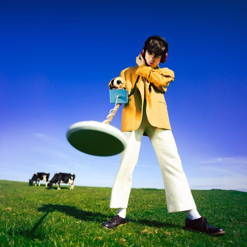 Declan McKenna - What happened to the beach? (LP)