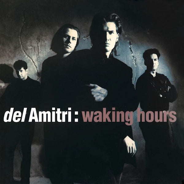 Del Amitri - Waking hours (CD)