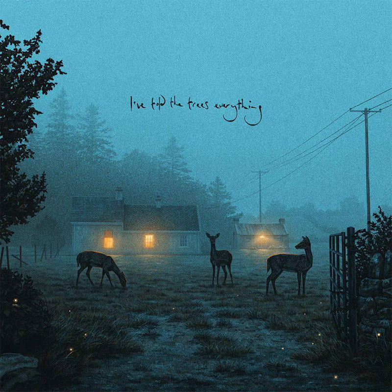 Dermot Kennedy - I've told the trees everything (12-inch maxi-single)