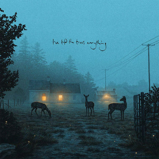Dermot Kennedy - I've told the trees everything (12-inch maxi-single)