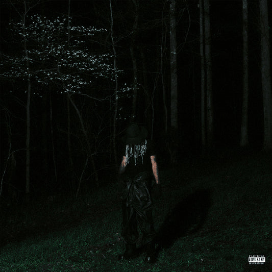 Destroy Lonely - If looks could kill (CD)