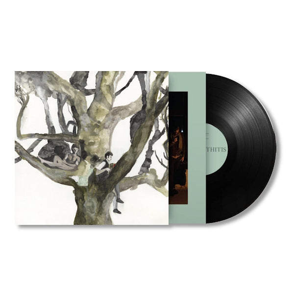 Destroyer - LABYRINTHITIS (5929798 LP)