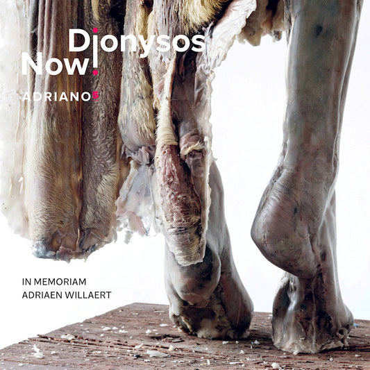 Dionysos Now! - Adriano 5 (Digipak CD)
