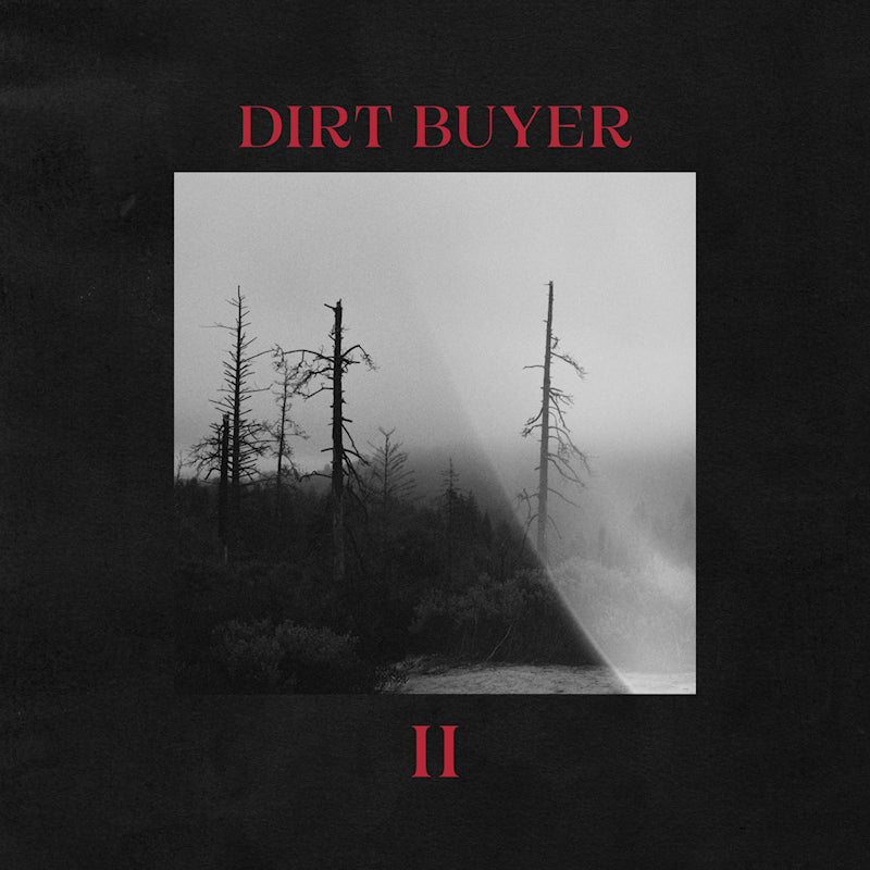 Dirt Buyer - Dirt buyer ii (CD)