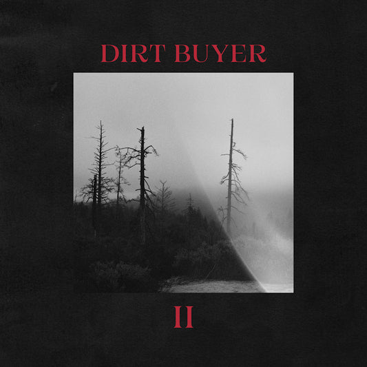 Dirt Buyer - Dirt buyer ii (Red Marble Vinyl, Coloured Vinyl LP)