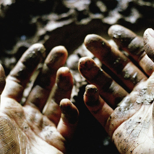 Dis Fig - What to make of these mortal hands (LP)