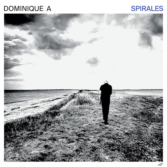 Dominique A - Spirales (LP)
