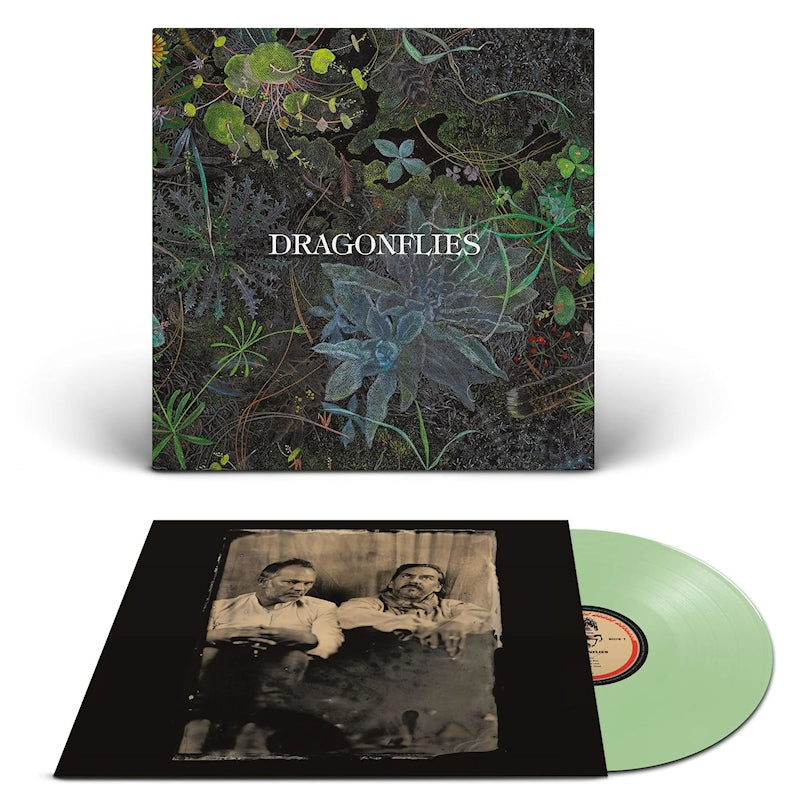 Dragonflies - Dragonflies (LP)