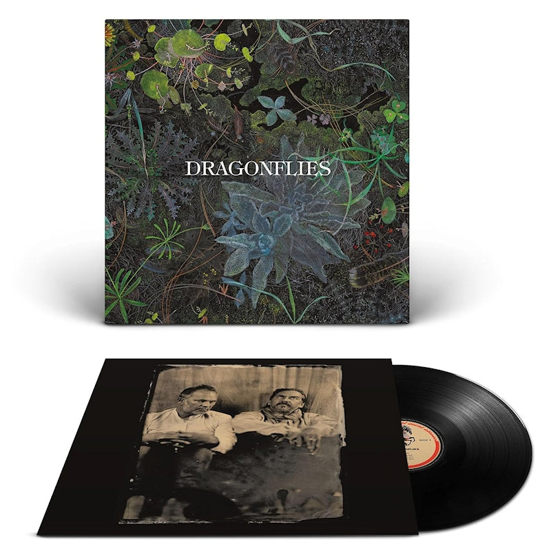 The Dragonflies - Dragonflies (LP)