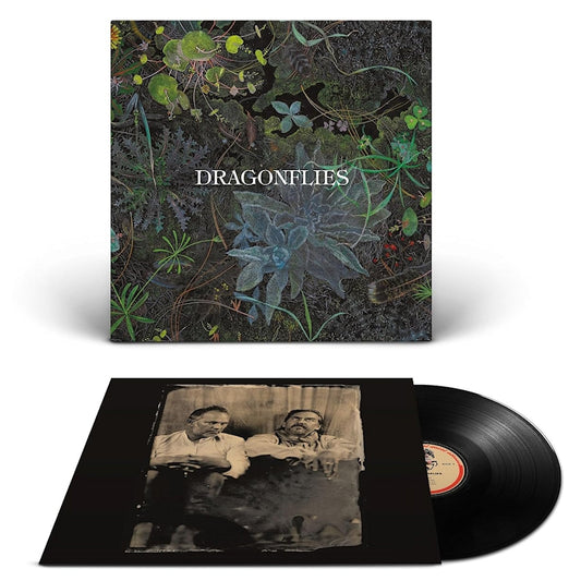 The Dragonflies - Dragonflies (LP)