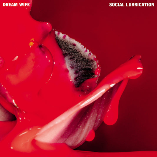 Dream Wife - Social lubrication (LP)