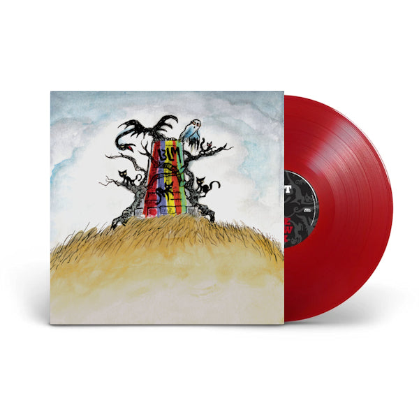 Drive-By Truckers - The new ok -coloured- (Coloured Vinyl LP)