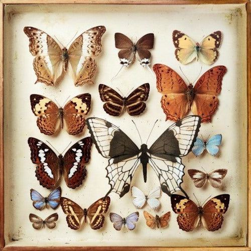 Emiliana Torrini - Rarities (Comprehensive Two-Disc Collection of Rare Remixes CD)