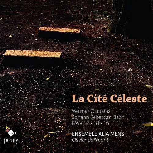Ensemble Alia Mens & Spilmont - Heavenly city (CD)