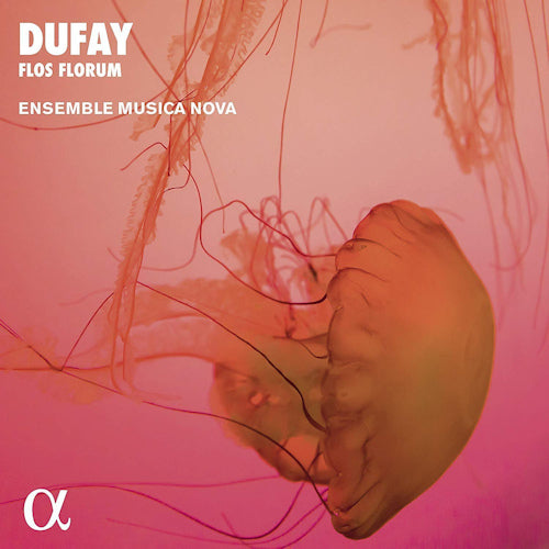 G. Dufay - Flos florum (Ensemble Musica Nova CD)