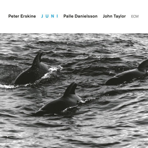 Peter Erskine -trio- - Juni (Digipak CD)