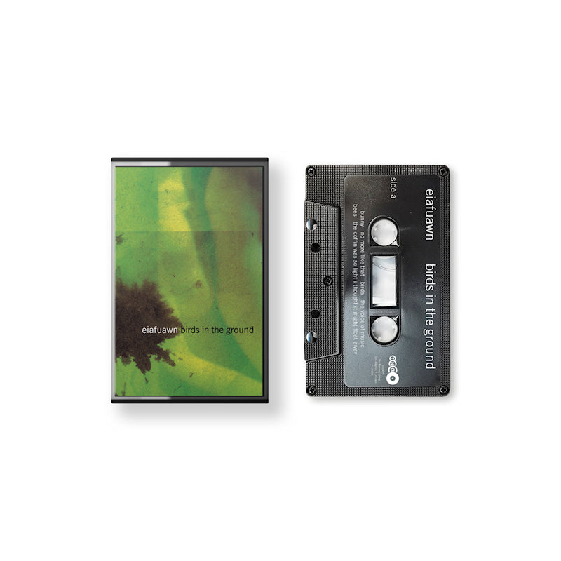 Eiafuawn - Birds in the ground (muziekcassette)