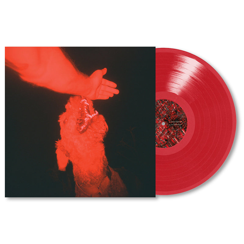 Eli Winter - A trick of the light (Red, Transparent, Coloured Vinyl LP)