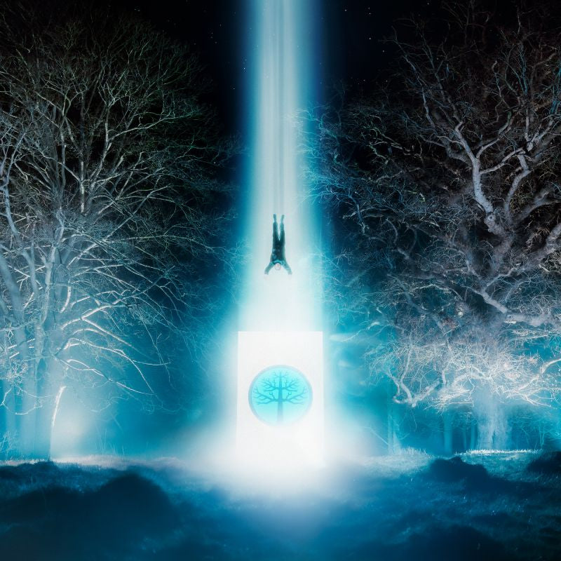 Enter Shikari - Lose your self (CD)
