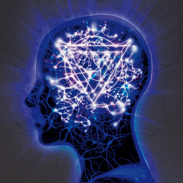 Enter Shikari - Mindsweep (CD)