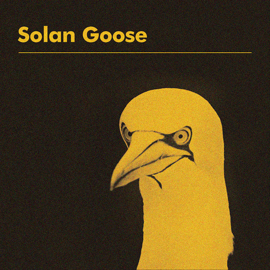 Erland Cooper - Solan goose (LP)
