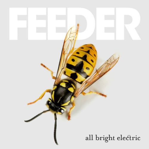 Feeder - All bright electric (CD)